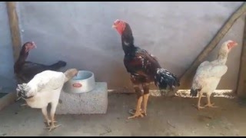 Nossas Instalações